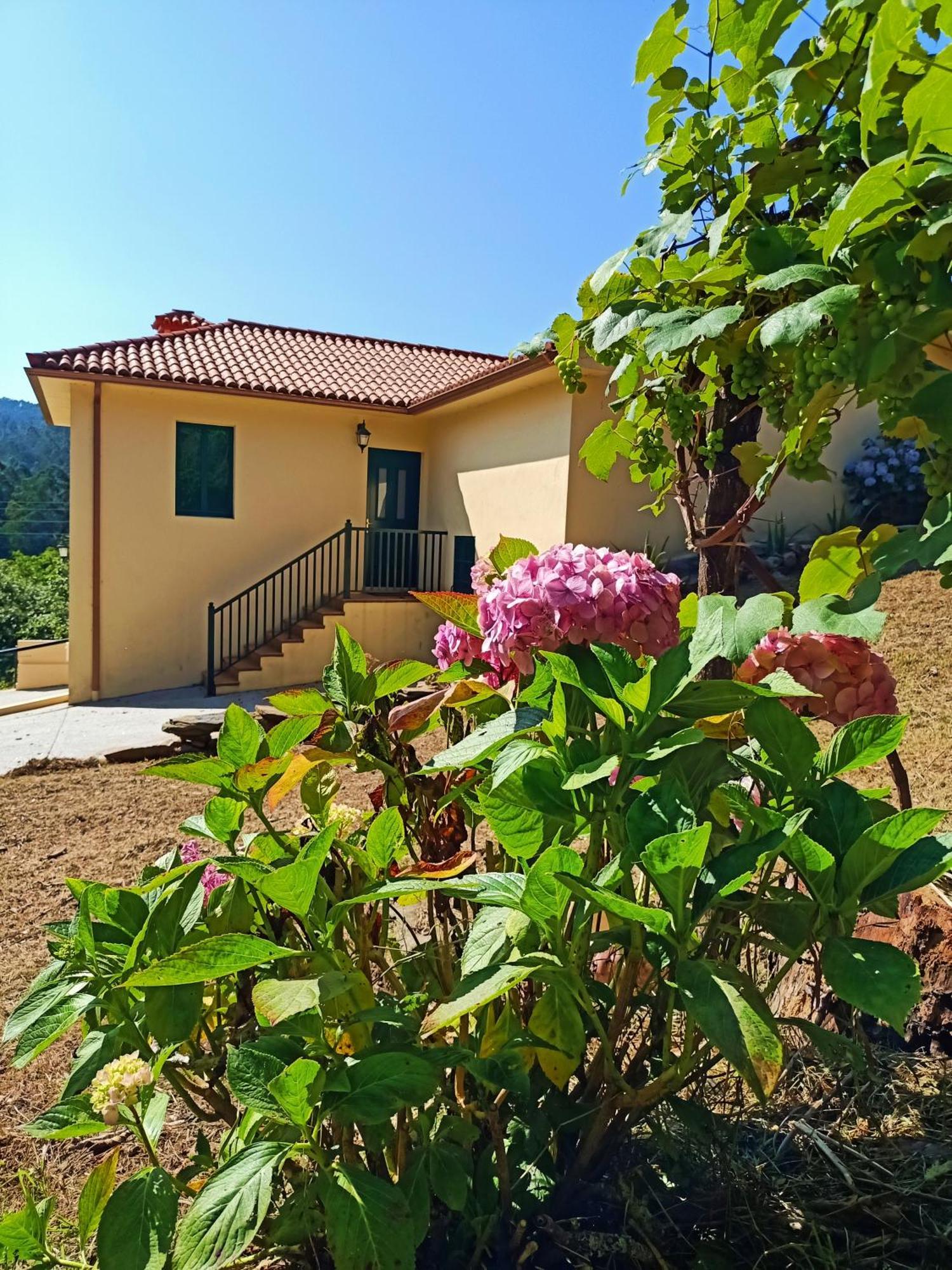 A Casa Do Porto Cerca De Cedeira Y De La Playa De Pantin Villa บัลโดวีโญ ภายนอก รูปภาพ